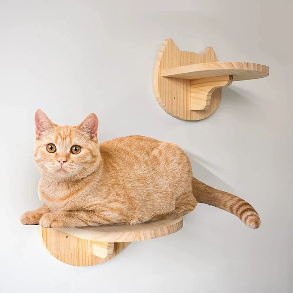 Cat Wall Climbing Shelf with Ladder, Scratching Post, and Hiding House - Pet Furniture Accessory for Cats