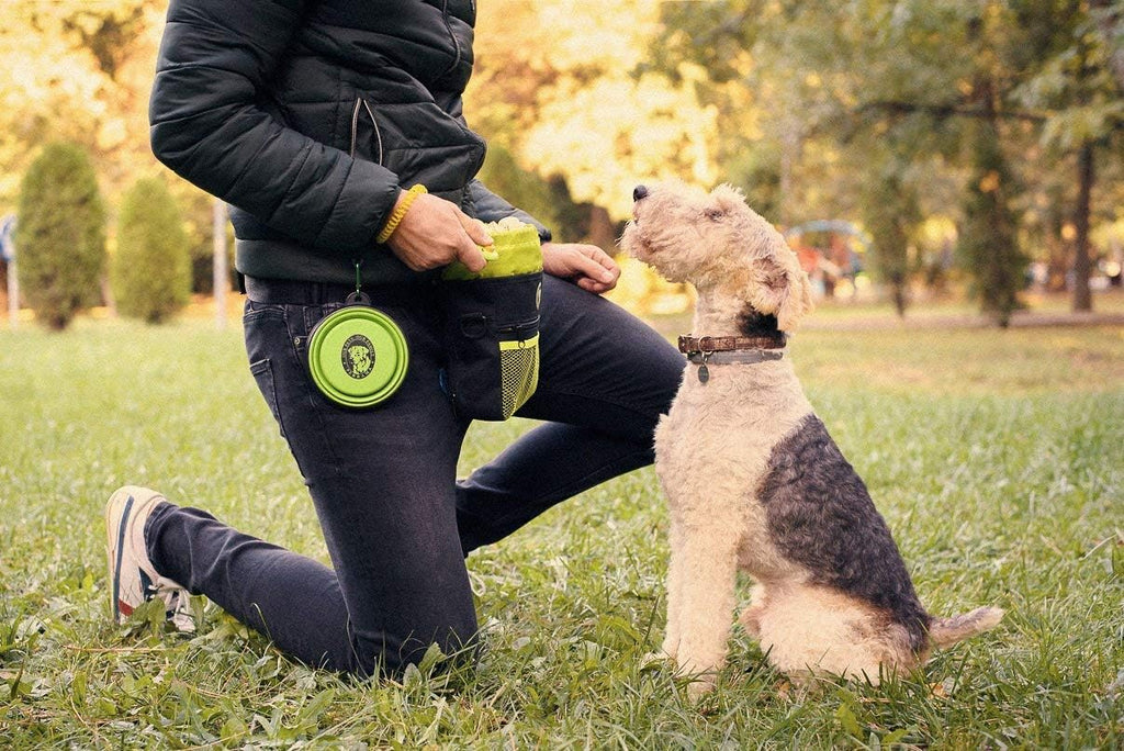 Professional Dog Training Treat Pouch with Poop Bag Dispenser, Clicker, Collapsible Bowl, and Reflective Shoulder Strap - Black/Green