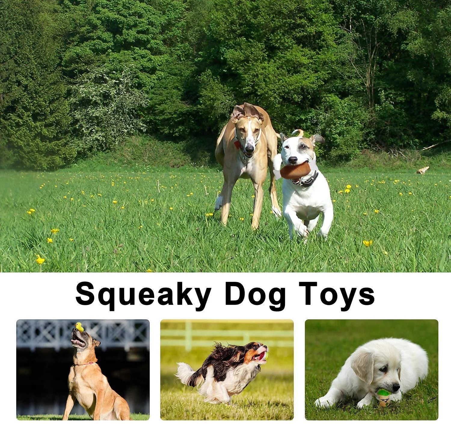 14-Pack Plush Dog Squeaky Toys - Assorted Fruits and Vegetables for Small to Medium Dogs