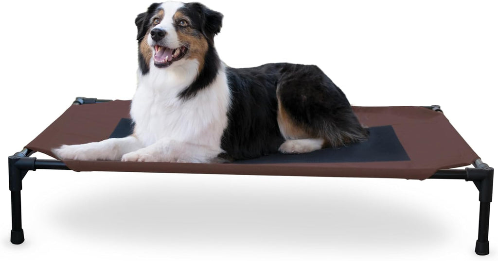 Elevated Outdoor Dog Cot - Breathable Cooling Hammock Bed for Large Dogs, Washable Mesh Cover, Collapsible Portable Design, 42 x 30 inches, Chocolate