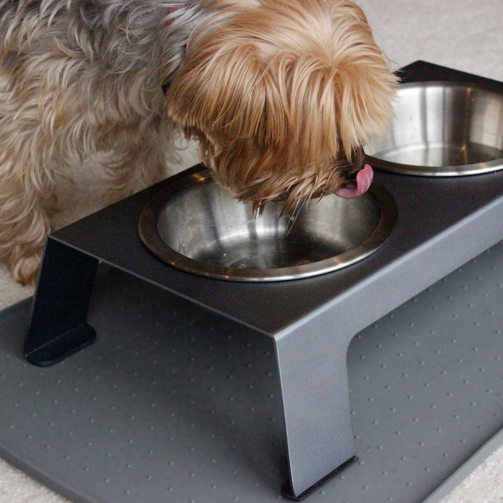 Premium Anodized Aluminum Elevated Dog and Cat Bowls - 4" Short Feeder with Food Grade Stainless Steel Bowls in Metallic Gray