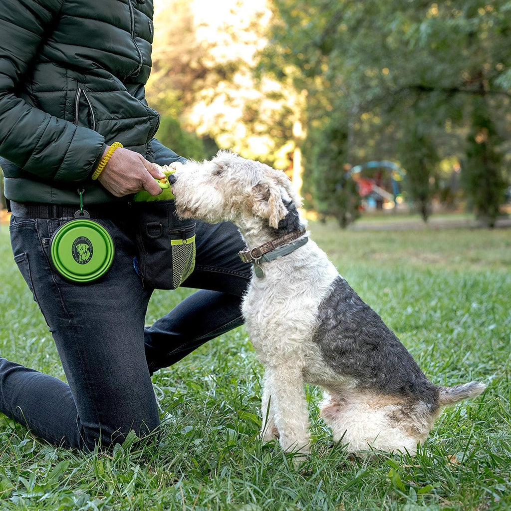 Professional Dog Training Treat Pouch with Poop Bag Dispenser, Clicker, Collapsible Bowl, and Reflective Shoulder Strap - Black/Green